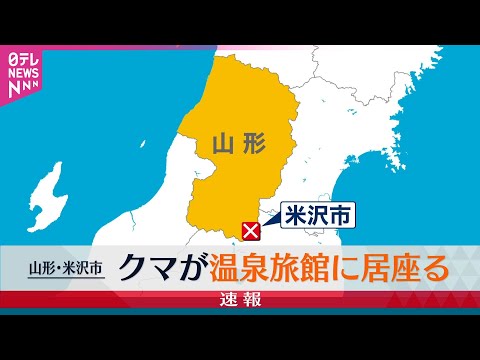 【クマ】クマが温泉旅館に侵入 山形・米沢市 / クマ人身被害“7割以上”が人の生活圏で発生　エサ大凶作で「死に物狂い」── 社会ニュースまとめ （日テレNEWS LIVE）