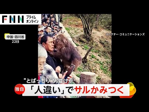 “人違い”でとばっちり！サルが男性にかみつく　お尻をタッチしたのは隣にいた観光客　中国・四川省