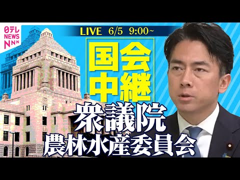 【国会中継】『衆議院・農林水産委員会』小泉農水相出席──政治ニュースライブ［2025年6月5日午前］（日テレNEWS LIVE）