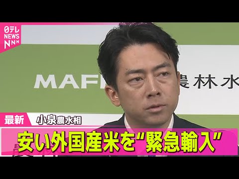 【コメ価格】小泉農水相“緊急輸入も選択肢”　値上がりは加工用でも… / 石破首相「あらゆる手法を考える」備蓄米が尽きた場合…“緊急輸入”排除しない考え──経済ニュースライブ（日テレNEWS LIVE）