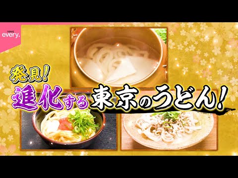 【人気】ひもかわ＆讃岐＆濃厚カレー！進化する東京うどん『every.特集』