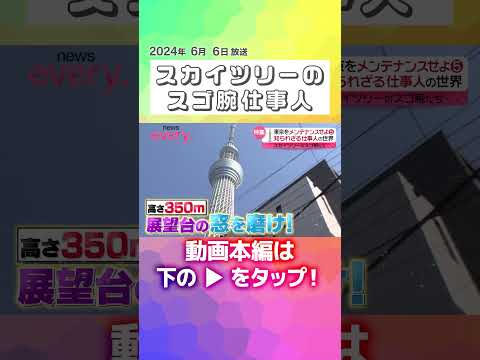 ↑↑本編はリンクから！↑↑【東京スカイツリー】初公開！160種類以上のライティング＆エレベーター整備＆地上350ｍで窓を磨く…東京をメンテナンスする仕事人『every.特集』