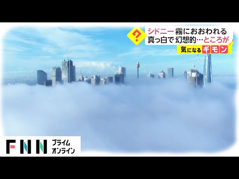 シドニー霧に覆われる　真っ白で幻想的...ところが