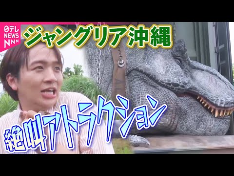 【ジャングリア沖縄】“参加型”恐竜アトラクション＆280メートル大自然の滑空体験【コレミテ】