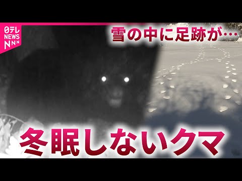 【恐怖】常識が通用しない事態… クマの出没 冬も懸念 原因と対策は　秋田　NNNセレクション