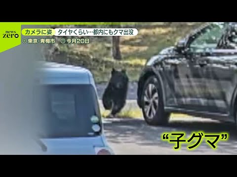 【クマが各地で出没】都内でも… 山形では住宅街で中学生が追いかけられる
