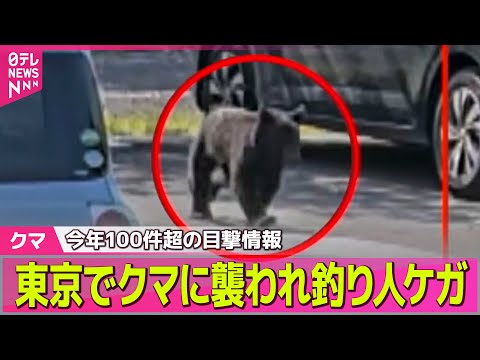 【クマ】各地で出没、都内でも…　山形では住宅街で中学生が追いかけられる── ニュースライブ（日テレNEWS LIVE）