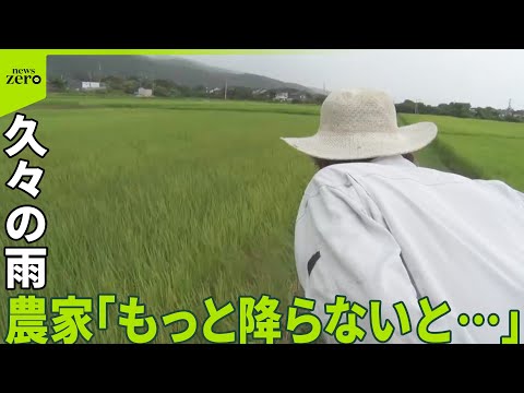 【恵みの雨？】各地で久々の雨 コメへの影響は…「もっと降らないと」農家の声も