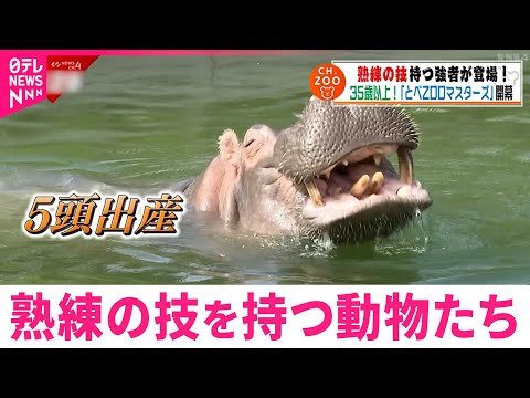 【発見】特技は◯◯！35歳以上の動物が持つ熟練の技とは？　愛媛　NNNセレクション