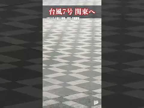 【都内も強風】目黒駅前 傘も“クルリ”と…道路を波打つ雨 #shorts