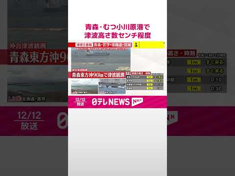 【速報】【津波観測】青森・むつ小川原港で微弱の津波 高さ数センチ程度を観測 気象庁 #shorts