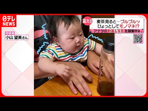 【投稿動画】なぜ!? 麦茶見ると&quot;震える&quot;赤ちゃん『every.特集』