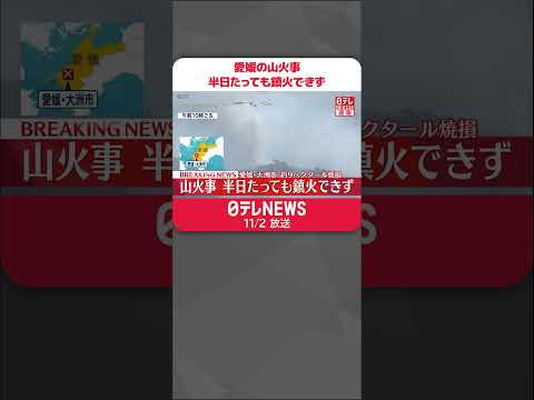 【速報】愛媛・大洲市の山火事 半日たっても鎮火できず #shorts