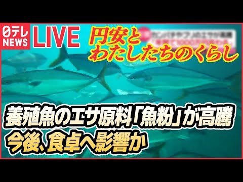 【ライブ】円相場が乱高下：中華まんにも値上げの波 / 円安で給料アップ / 養殖魚のエサの原材料「魚粉」高騰 / 来春の電気代「2000～3000円」上昇か　など（日テレNEWS ）