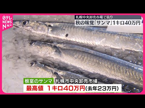 【秋の味覚】「サンマ」1キロ40万円、札幌市中央卸売市場で競り