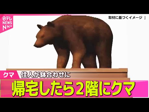 【クマ】自宅2階にクマが…住人鉢合わせ　トウモロコシ畑では3日連続食害　各地で出没相次ぐ ── ニュースライブ（日テレNEWS LIVE）