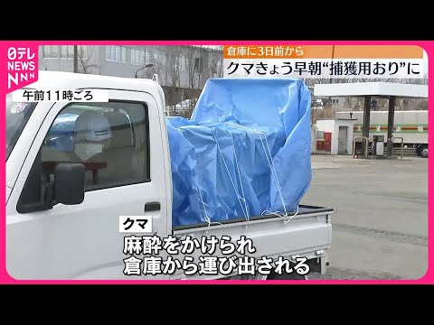 【クマ】倉庫に3日前からとどまり続け…9日早朝“捕獲用おり”に 秋田市