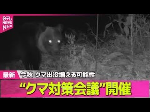 【クマ】“クマ対策会議”開催　出没増える可能性…エサとなるブナが凶作 / 3頭のクマ　養殖場の魚を“物色中”…防犯カメラに映像　岩手・大槌町 ── ニュースライブ（日テレNEWS LIVE）