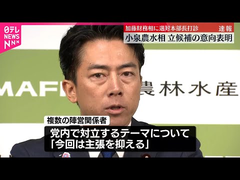 【速報】小泉農水相 立候補の意向を正式表明 加藤財務相に選対本部長打診