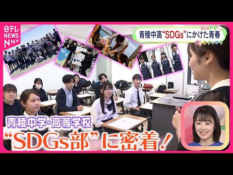 【部員50人の人気部活動！】青稜中学・高等学校の“SDGs部”に密着！