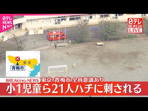 【速報】小学校で1年生の児童ら21人がハチに刺される 東京・青梅市