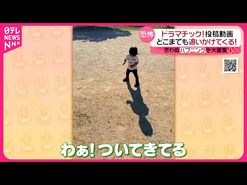 【投稿動画】どこまでも追いかけてくる　こわーいヤツ！？『every.特集』