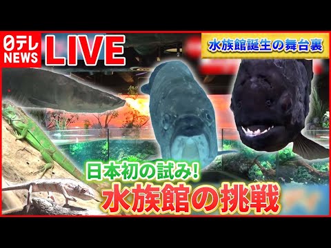 【水族館ライブ】“次世代の水族館”『カワスイ 川崎水族館』誕生の舞台裏 / 新人飼育員“最適な水を作れ”/ “来園者に笑顔を”飼育員の願いーー水族館まとめ（日テレNEWS LIVE）