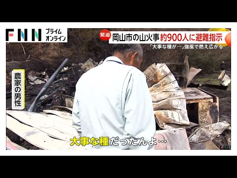 【山火事】岡山・愛媛に韓国・ロサンゼルスなど世界各地でも発生する背景に地球温暖化による極端な乾燥？“山火事が山火事を呼ぶ”負の連鎖の状態に