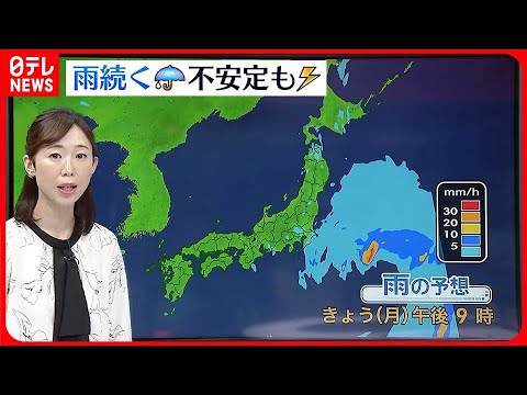 【天気】東日本と北日本では夕方にかけて雨の所が多い 雷を伴って激しく降る所も