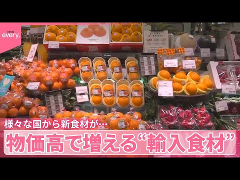 【物価高で増える“輸入食材”】様々な国から新食材が…輸入解禁されたばかりの果物も