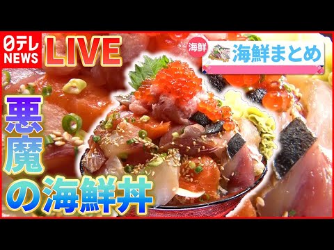 【海鮮ライブ】回転しない美味い寿司 / ご当地市場グルメ旅 / お値打ち漁港寿司 / 買って食べて大満足！　お得なご当地市場 / 鮮魚店のお総菜はうまい！　など（日テレNEWS LIVE）