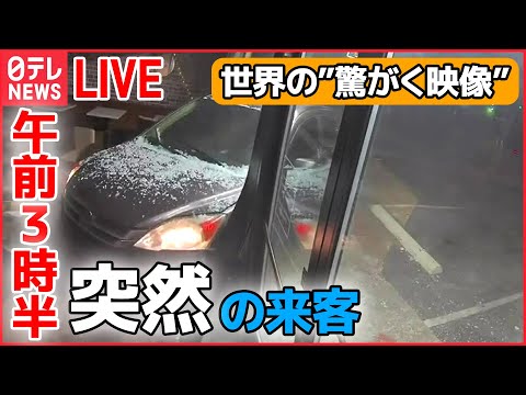 【世界の驚がく映像ライブ】午前3時半のドーナツ店に車が突っ込む/2歳の女の子が“宙づり”　絶体絶命…　など―World Heart Stopping Moments (日テレNEWS LIVE)