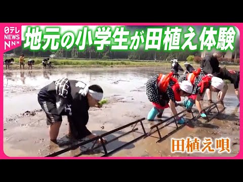 【石川・珠洲市】能登半島地震で大被害 小学生が田植え体験