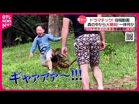 【投稿動画】キャンプ場でまさかの遭遇…『every.特集』