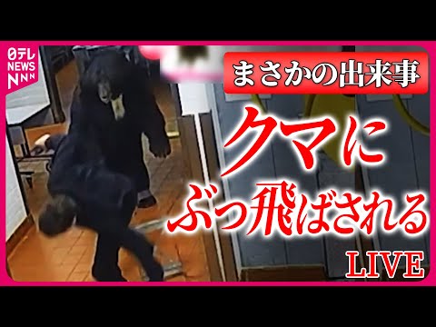 【ライブ】『まさかの出来事（動物編）』クマがブタ襲撃も猛反撃に…/ コヨーテから逃げるネコ…/ カンガルーが愛犬の首を後ろから など ニュースライブ （日テレNEWS LIVE）