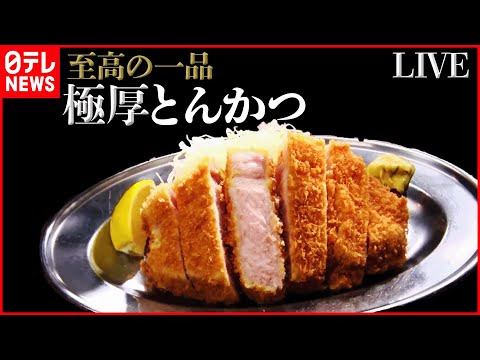 【とんかつライブ】激ウマ！仰天の厚切りグルメ /ポテサラ入りトンカツ誕生秘話/ “父の夢”受け継いだ“息子のトンカツ” / 　など (日テレNEWS LIVE)