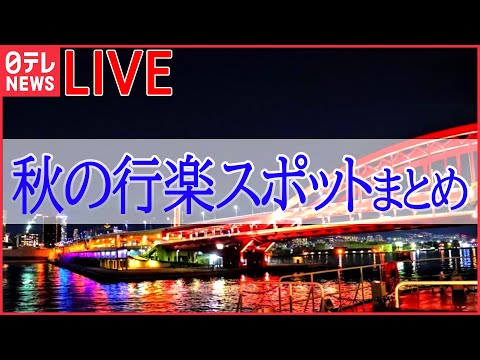 【ライブ】おでかけニュース　廃墟を“お化け屋敷”に/海を一望できる！新スポット / 五輪会場でアスリート気分 　など（日テレNEWSLIVE）