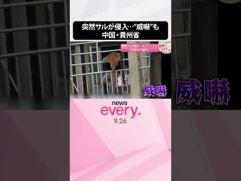【中国・貴州省】突然サルが侵入 大パニックに 体を震わせ“威嚇”も『世界のミダシ』 #shorts