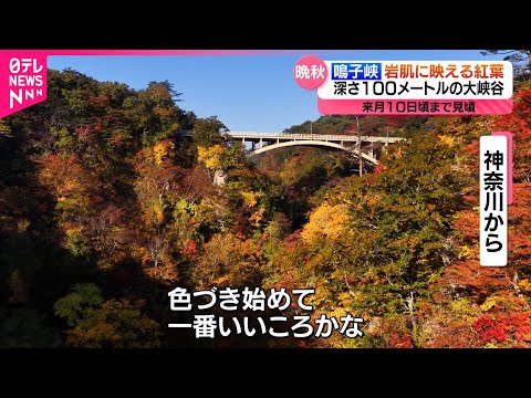 【いまが見頃】深さ100mの大峡谷&quot;鳴子峡&quot;の紅葉　宮城　NNNセレクション