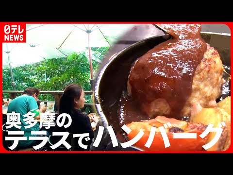 【夏の人気店】奥多摩ハンバーグ＆焼津海鮮BBQ＆伊香保温泉老舗うどん！美味しい行楽グルメ『every.特集』