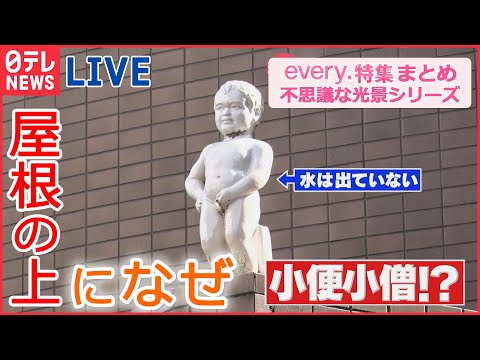 【ライブ】東京の不思議な光景 / 東海道新幹線の舞台ウラ / 立ち入り禁止のその先は？ / アナタの知らない大都会 など　every.特集厳選アーカイブより