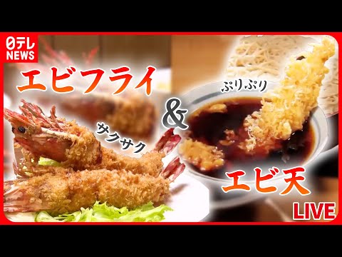 【エビまとめ】『エビフライ＆エビ天』長年愛されるこだわりのエビ天/家族で守る !洋食店のエビフライ/ウワサの超特大！ジャンボエビフライ　など グルメニュースライブ（日テレNEWSLIVE）