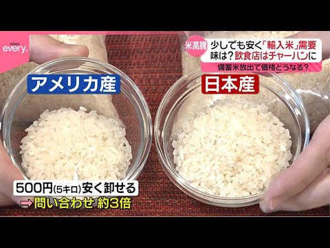 【コメ】備蓄米放出で価格どうなる？ 外食チェーンでは「輸入米」取り入れる動き広がる