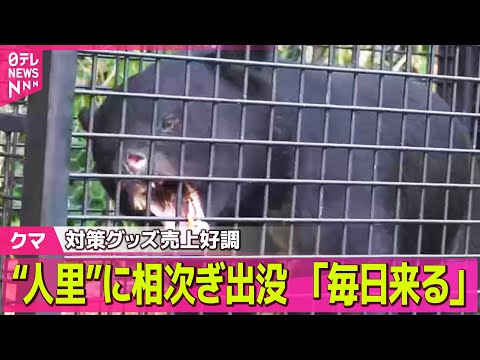 【クマ】“人里”での出没相次ぐ 「毎日来る これからどうなるか」/都内の26歳男性、クマに襲われ遺体で発見　周辺でクマ3頭駆除── ニュースライブ（日テレNEWS LIVE）