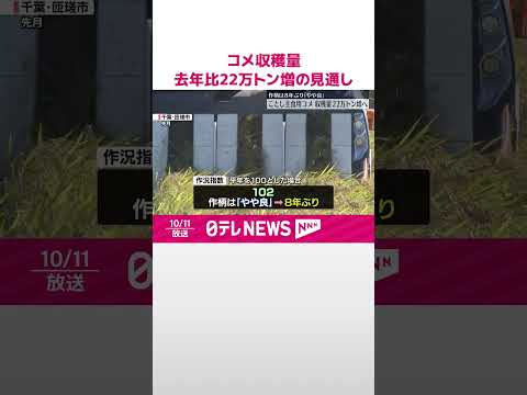 【農林水産省】ことし全国で収穫される主食用のコメ 去年と比べ22万トン増の見通し #shorts