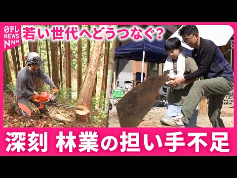 【林業】手入れできず土砂災害の恐れも… 人手不足解消へ 山を守る男性の思いと取り組み 　広島　NNNセレクション