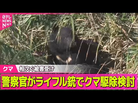 【クマ】相次ぐクマ被害受け、警察官がライフル銃でクマ駆除検討 来週担当者が現地へ ── 社会ニュースまとめ （日テレNEWS LIVE）