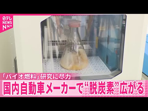 【「バイオ燃料」研究に尽力】国内自動車メーカーで脱炭素の取り組み広がる