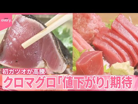 【“庶民の味方”のはずが...】今が旬の初ガツオが高騰 一方のクロマグロは漁獲枠増へ「値下がり」期待