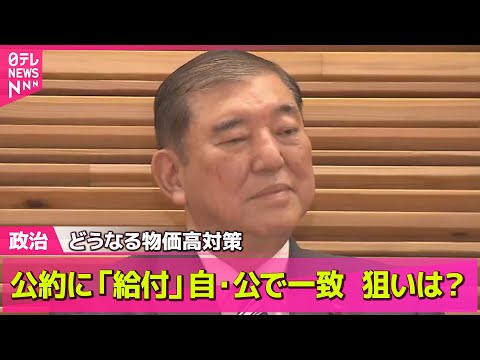 【政治ニュース】不信任提出は？　立憲・野田代表が語る“判断のポイント” / 公約に「給付」自・公で一致　どうなる物価高対策── 政治まとめニュースライブ （日テレNEWS LIVE）